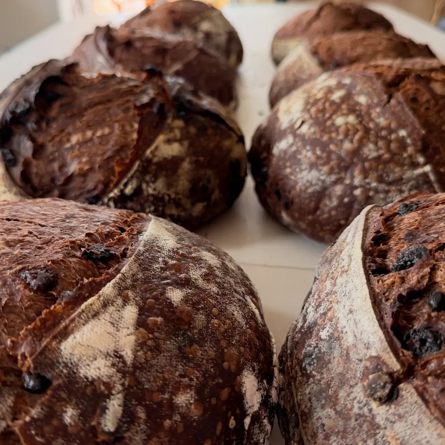 A batch of choco espresso loaves