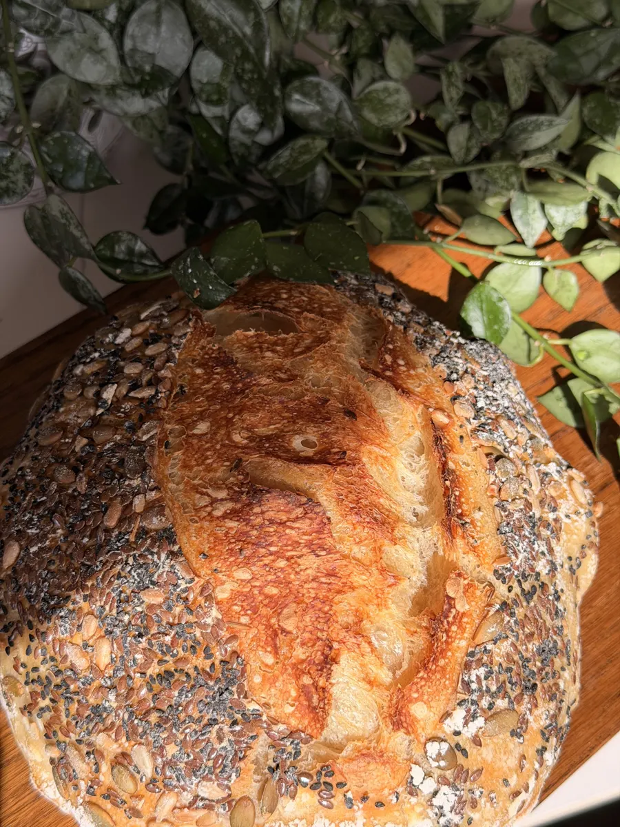 Baraké seeded sourdough loaf covered in seeds